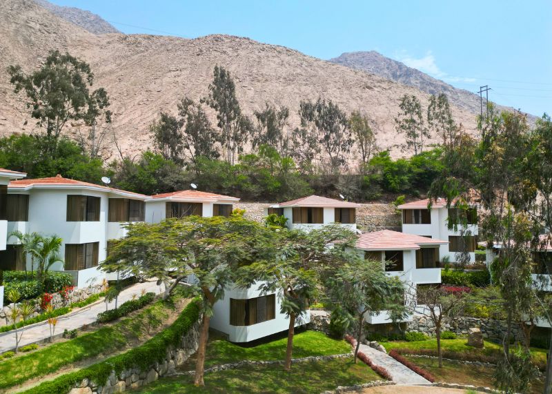 Free website template