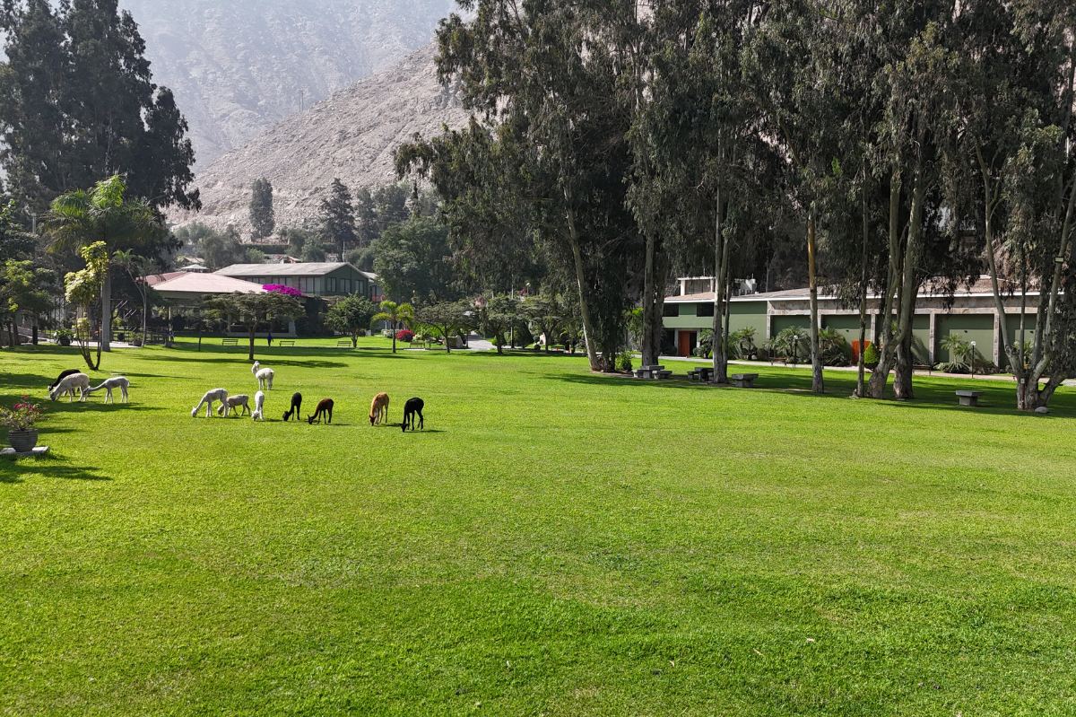 Áreas verdes de Kankay Resort